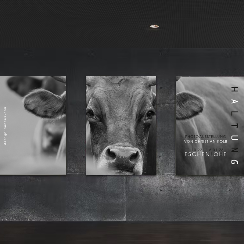 Grafik Design Diessen am Ammersee